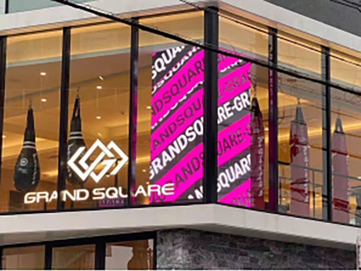 Japan Customer Project